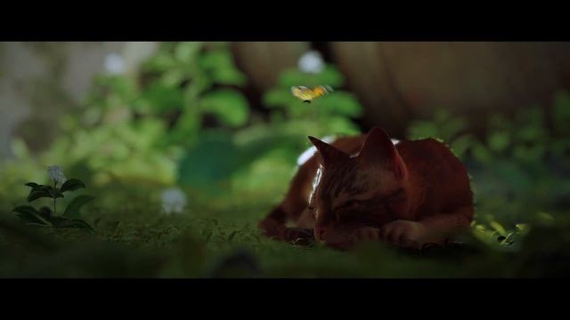 STRAY | КРАТКИЙ ОБЗОР ИГРЫ И СЮЖЕТА смотреть онлайн