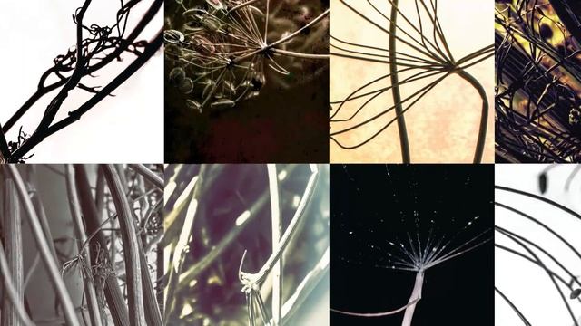 Солагаян Влад | Персональная видеопрезентация смотреть онлайн