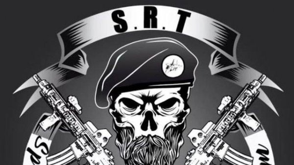 GTA 5 RP Radmir | Special Reaction Team | О подразделении