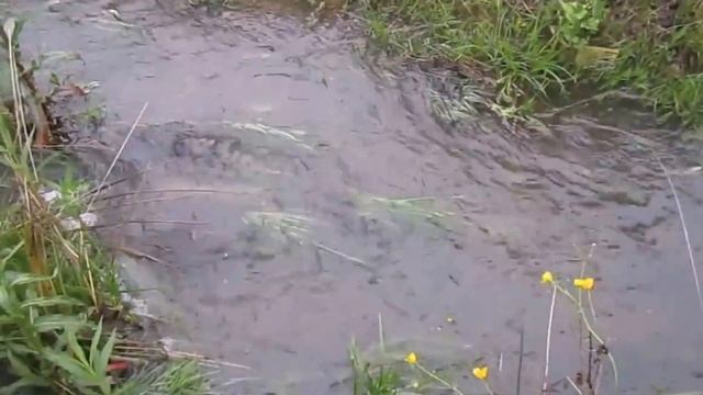 Ключевая вода смотреть онлайн
