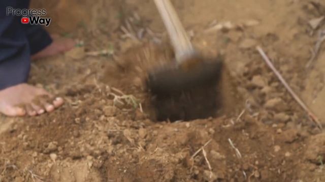 1 Столовая Ложка Осенью Заменит 100 Удобрений! Осенью Сыпать Под Все! Эта Подкормка Вошла В Историю смотреть онлайн