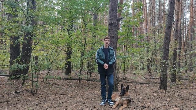 Как защитить собаку от клещей | Как вытащить клеща у собаки | Наш опыт лечение пироплазмоза