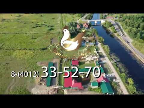 Птичий двор версия для ТВ смотреть онлайн