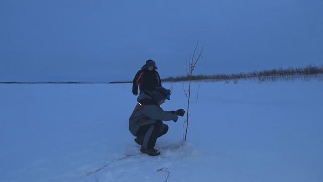 отличная рыбалка проверка ставных жерлиц и перемёта смотреть онлайн