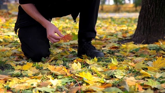 Autumn Dreams смотреть онлайн