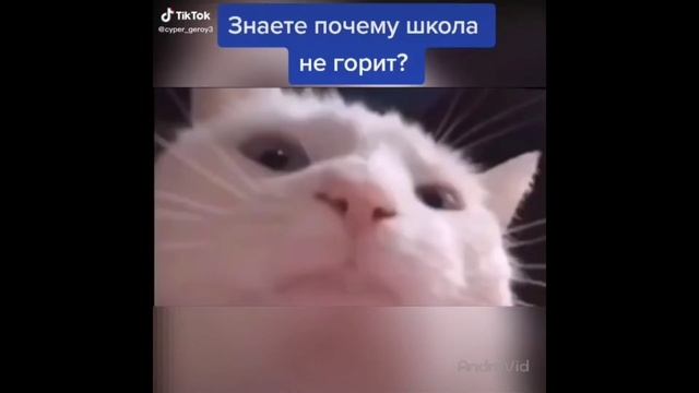 ВЕЛИКИЕ ТИКТАКИ #1 [TikTok] смотреть онлайн