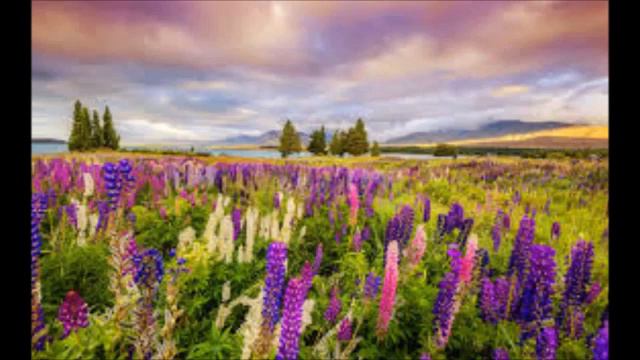 76 오 깊고도 깊은 주 예수의 사랑 O the Deep, Deep Love of Jesus смотреть онлайн