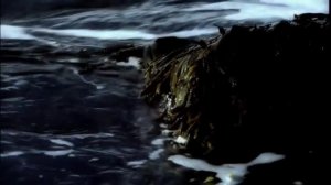 Эволюция Земли. Суровое прошлое единственной живой планеты.