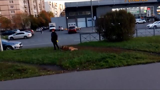 Что же дальше?//Гулялка-болталка по пр. Энтузиастов Красногвардейский район СПБ//Война или мир?!// смотреть онлайн
