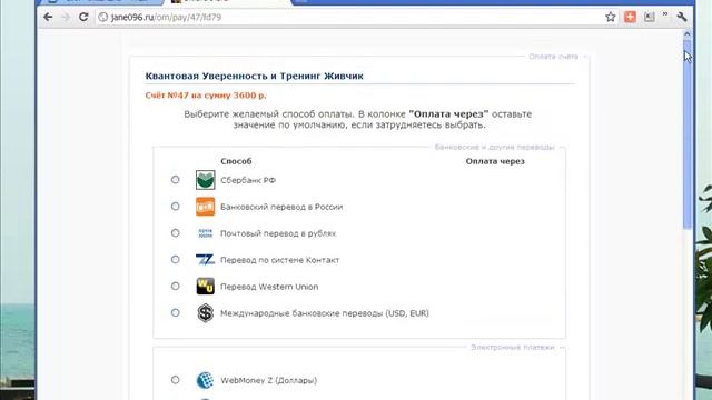 Прием оплаты через вебмани смотреть онлайн