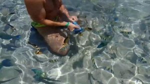 Рыбалка на Красном Море. Прикол)) Как поймать рыбу на Красном Море в Египте.