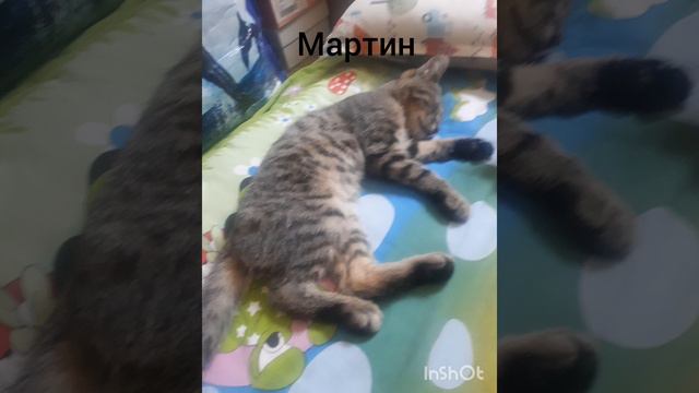 18 января 2024 г. по мнению мне все виды смотреть онлайн