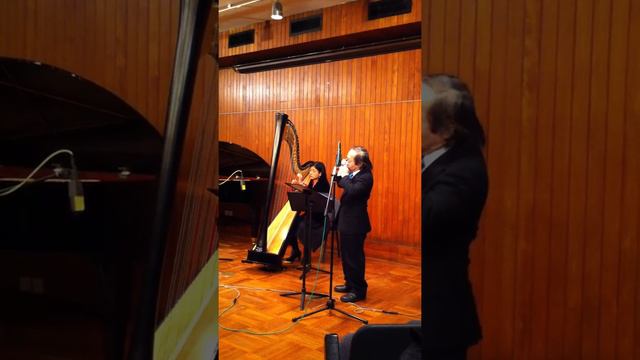 Nocturne from Secret Garden, Harmonica and Harp смотреть онлайн