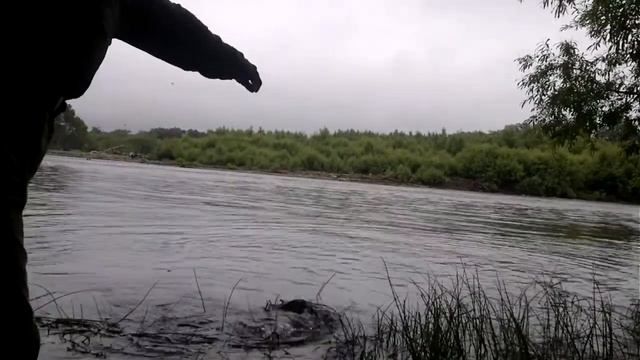 Впадение Хичи в Хуту. Ловля Симы 2 часть смотреть онлайн