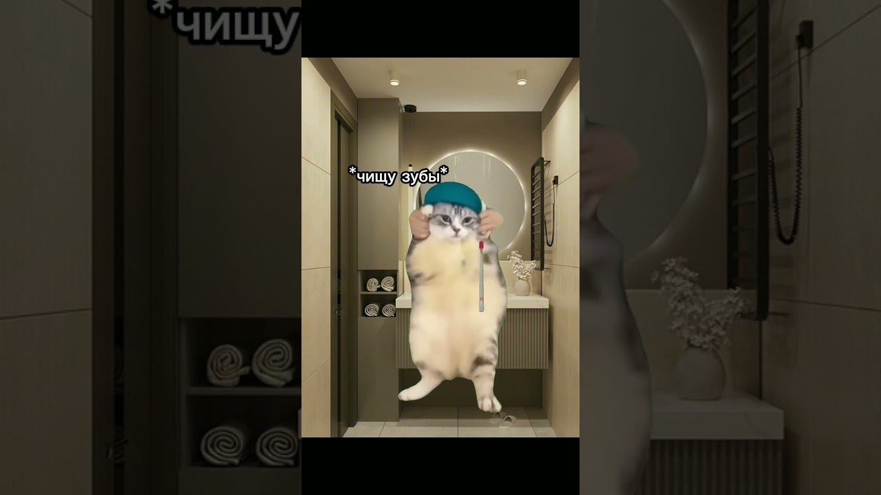 утро перед школой - я и коты #мем смотреть онлайн