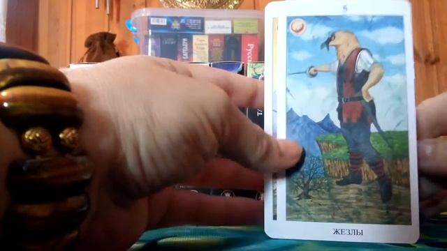 Таро Царство животных. Tarot Animal Kingdom. смотреть онлайн