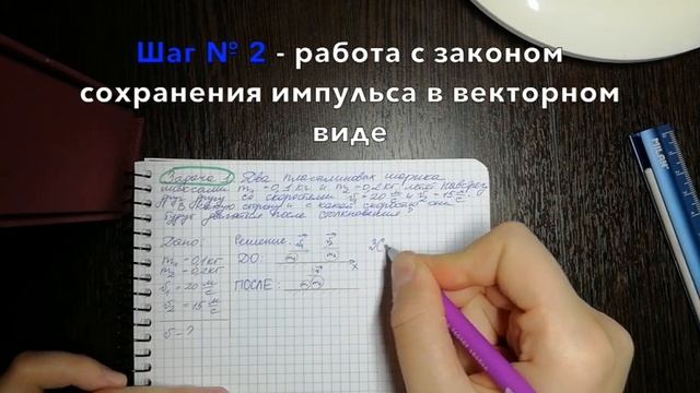 Видеоразбор задачи на закон сохранения импульса (9 класс) смотреть онлайн
