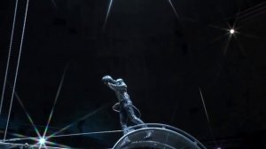 Лучшие цирковые номера: Цирк Братьев Запашных - «Колесо смерти»