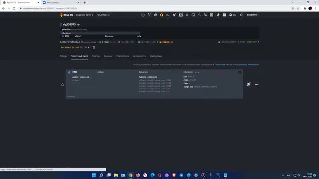 Hive OS. Как настроить и майнить? смотреть онлайн
