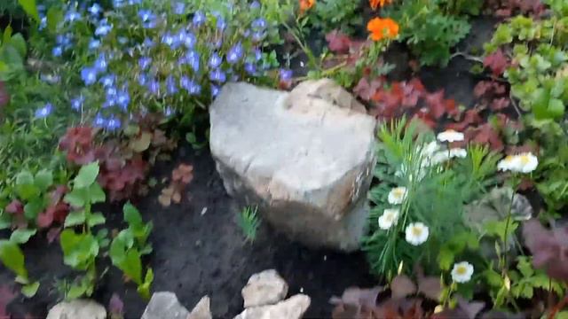 Заморозка кабачков/В саду растут /Орешки смотреть онлайн