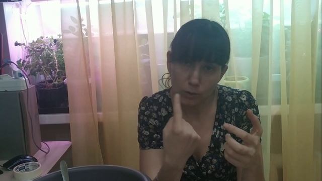 Надо ли пикировать болгарский перец? смотреть онлайн