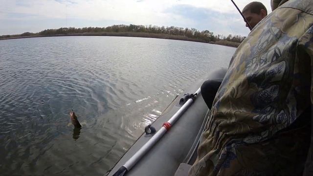 РЫБАЛКА в КАНЕВСКОЙ!!! ЧАСТЬ 2... #fishing #crazyfish #daiwa #рыбалка #щука #окунь #барсик #top