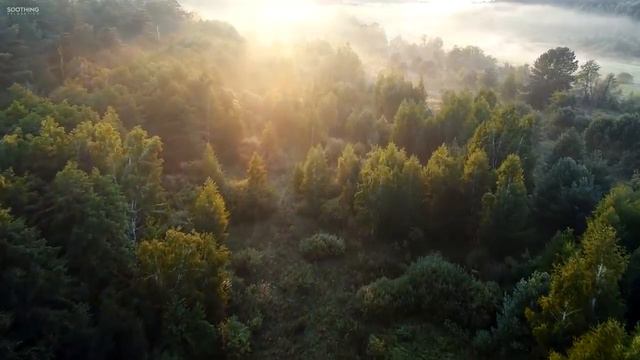 Pасслабляющая музыкаBeautiful Relaxing Music • Peaceful Piano Music & Guitar Music   Sunny Mornings