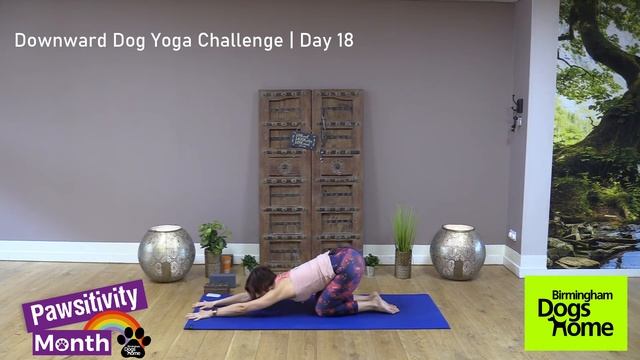 Downward Dog Yoga Challenge | Pawsitivity Month | Day 18, Stretching смотреть онлайн