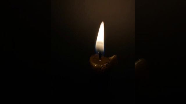 Евангелие от Иоанна. Глава 10.