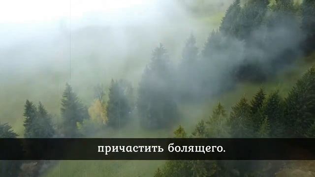 Могут ли умершие видеть нас. Реальная история из жизни священника смотреть онлайн