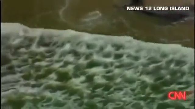 Морские гиганты Огромную акулу выбросило на берег после шторма! Опасные животные смотреть онлайн