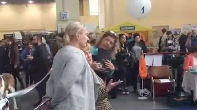 Выставка 04.11.2017. САС-UA "Харьков-2017" Сравнение на ЛК смотреть онлайн