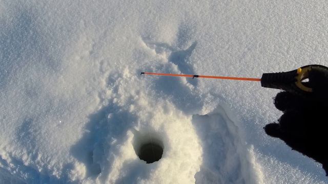Два дня рыбалки, два шнура, два окуня. смотреть онлайн