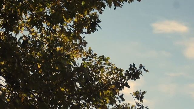 the first of november смотреть онлайн