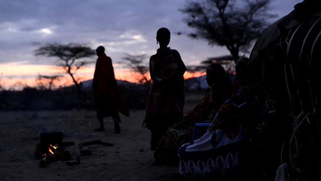 tourboss foto exhibition смотреть онлайн