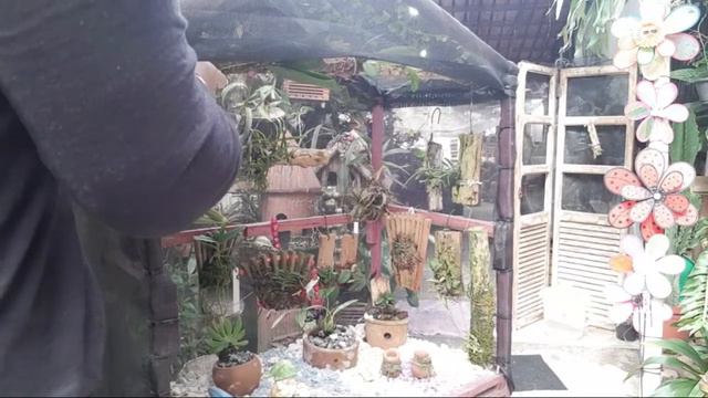 Micrario смотреть онлайн