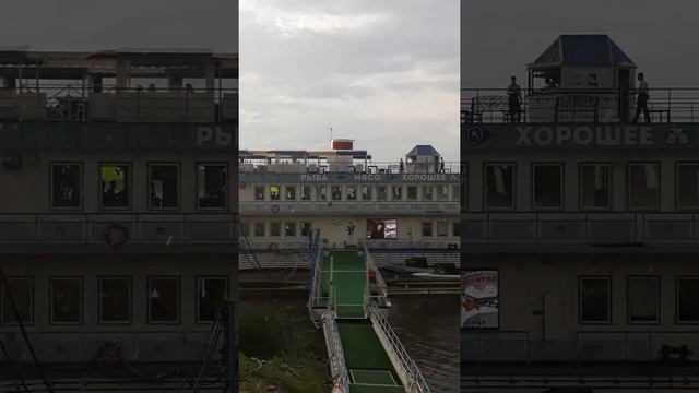 Самара Скрябин 7 августа 2020 г. смотреть онлайн