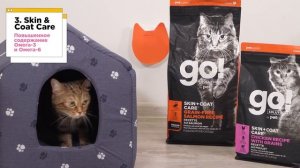 Топ-5 холистик кормов для кошек и собак. Самый лучший корм для домашних животных.