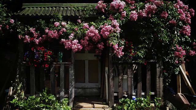 Топ самых русских хитов про любовь - онлайн смотреть смотреть онлайн