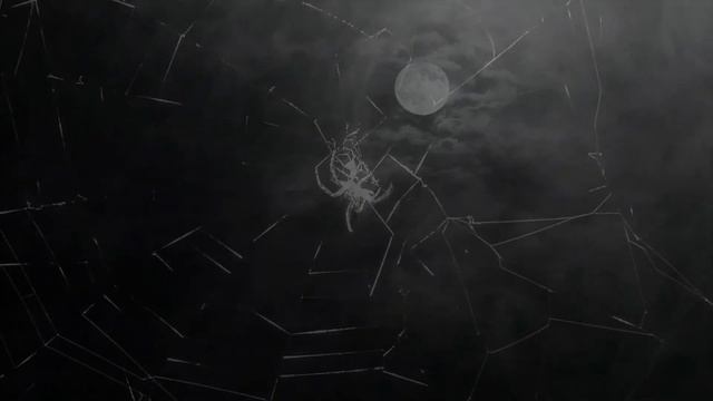 Amaniel - Om Mani Padme Hum.