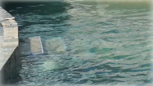 Мама Герда купается со своими любимыми медвежатами смотреть онлайн