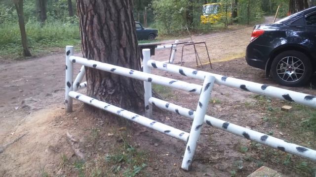 Контактный зоопарк: заборы. смотреть онлайн