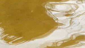 НЕ РЫБАЛКА, А ЖОР КАКОЙ ТО! ЛОВЛЯ КАРАСЯ и ЛЕЩА ВЕСНОЙ на БОКОВОЙ КИВОК! РЫБАЛКА 2020