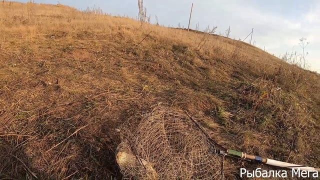 БЕЛЫЙ АМУР НА ОСЕННЕЙ РЫБАЛКЕ. смотреть онлайн