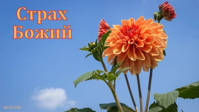 "Начало мудрости - страх Господень". В. Буланов. МСЦ ЕХБ смотреть онлайн