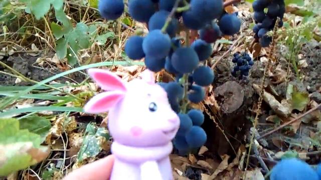 Летучая мышь и лунтики! смотреть онлайн