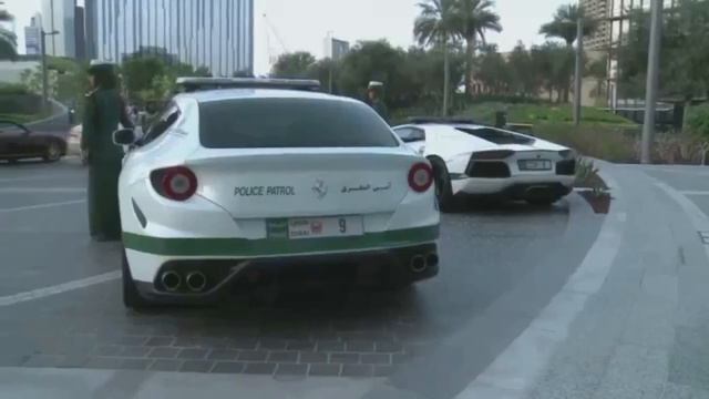 Полицейские машины Дубая,  Dubai Police Cars