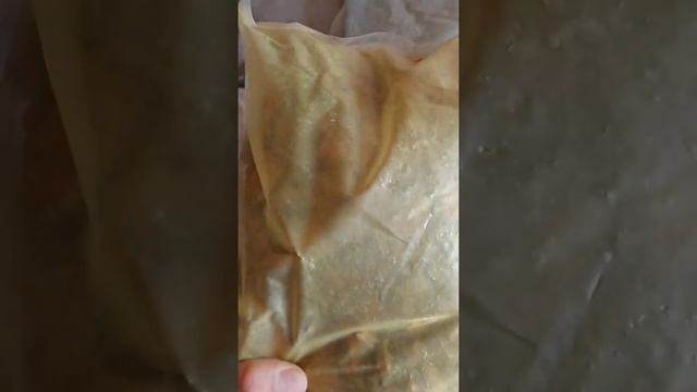 ЖАҒЫМДЫ ЖАҢАЛЫҚ!ШӨП ДӘРІЛЕР КЕЛДІ! смотреть онлайн