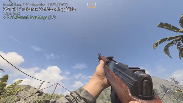 Call Of Duty: Vanguard | All Weapons (Season 5)