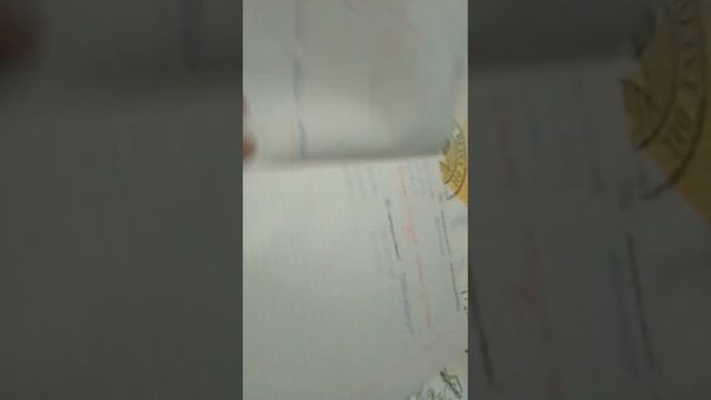 Большая проверка!По русскому и кр Русс.По математике и кр матем.И по литературе смотреть онлайн